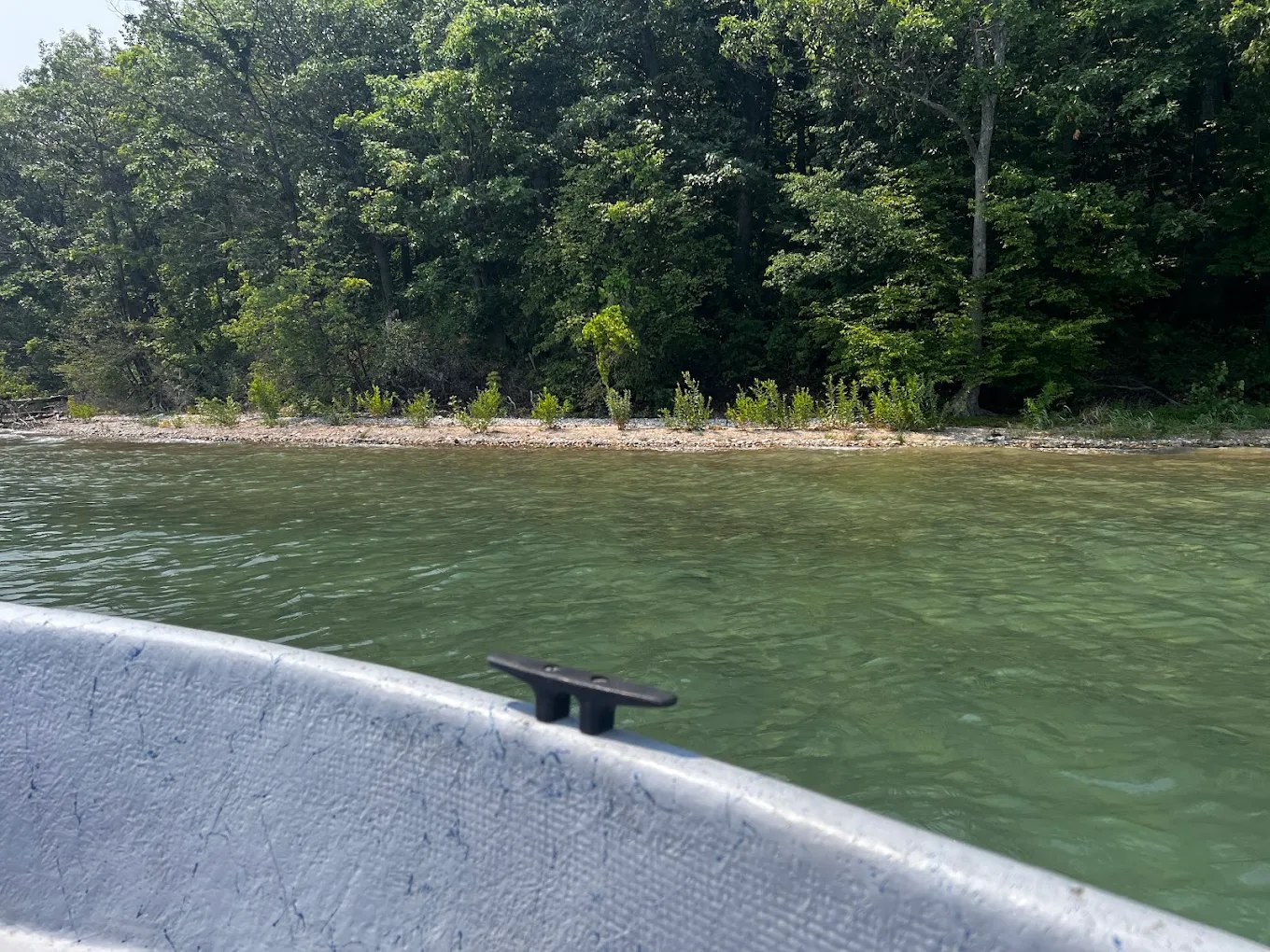 Bassett Island