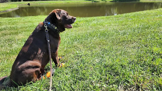 Aok Campground-RV Park