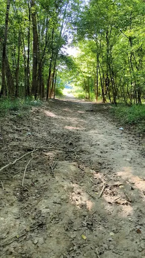 Coal Bluff campground