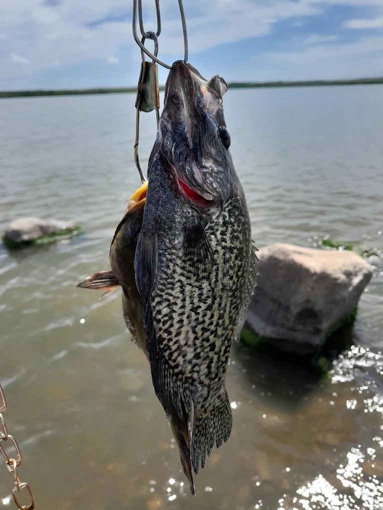 Patterson Lake Rec Area