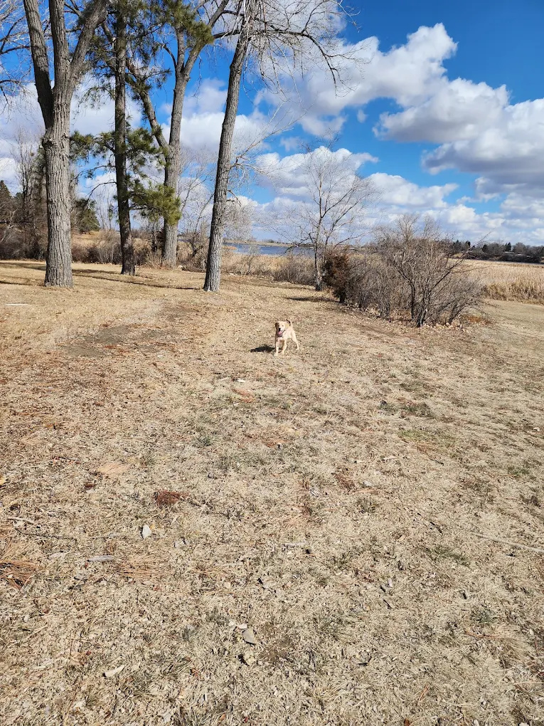 Patterson Lake Rec Area