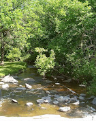 Calusen Springs