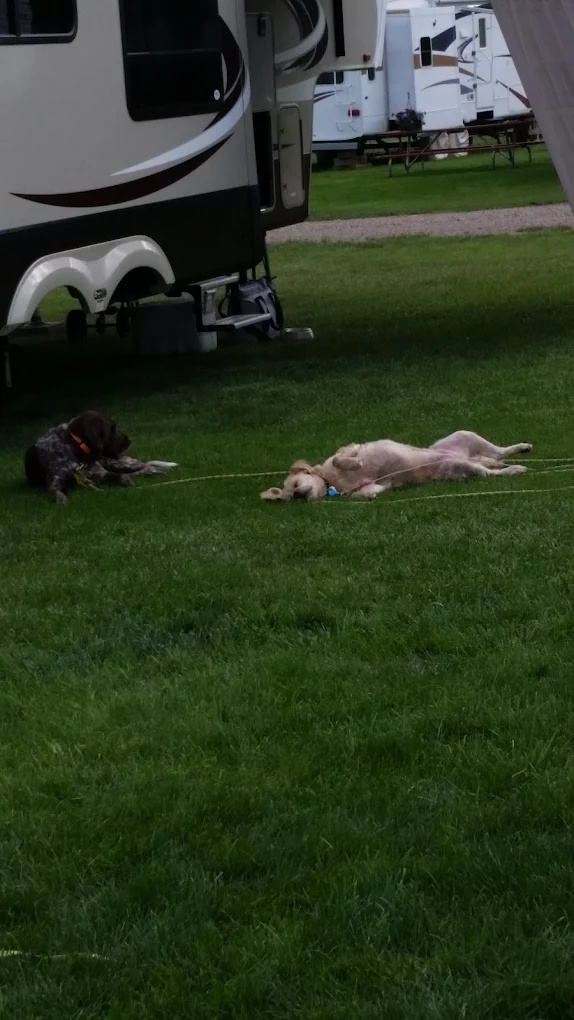 Morning Star Campground