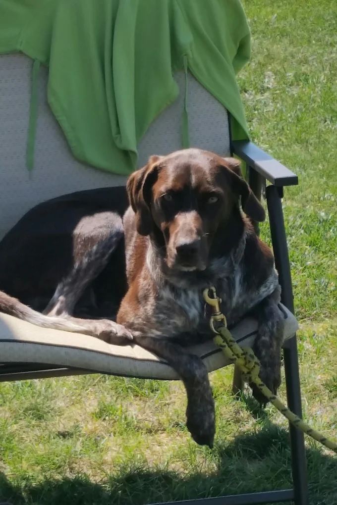 Morning Star Campground