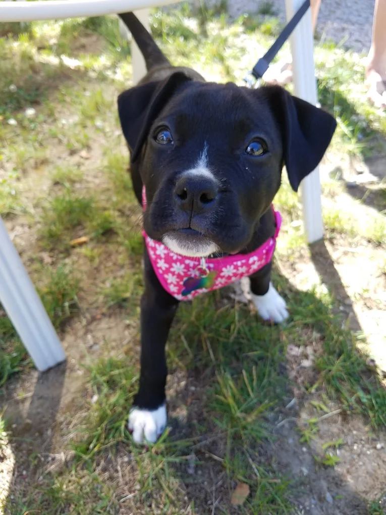 Great Meadow Campground