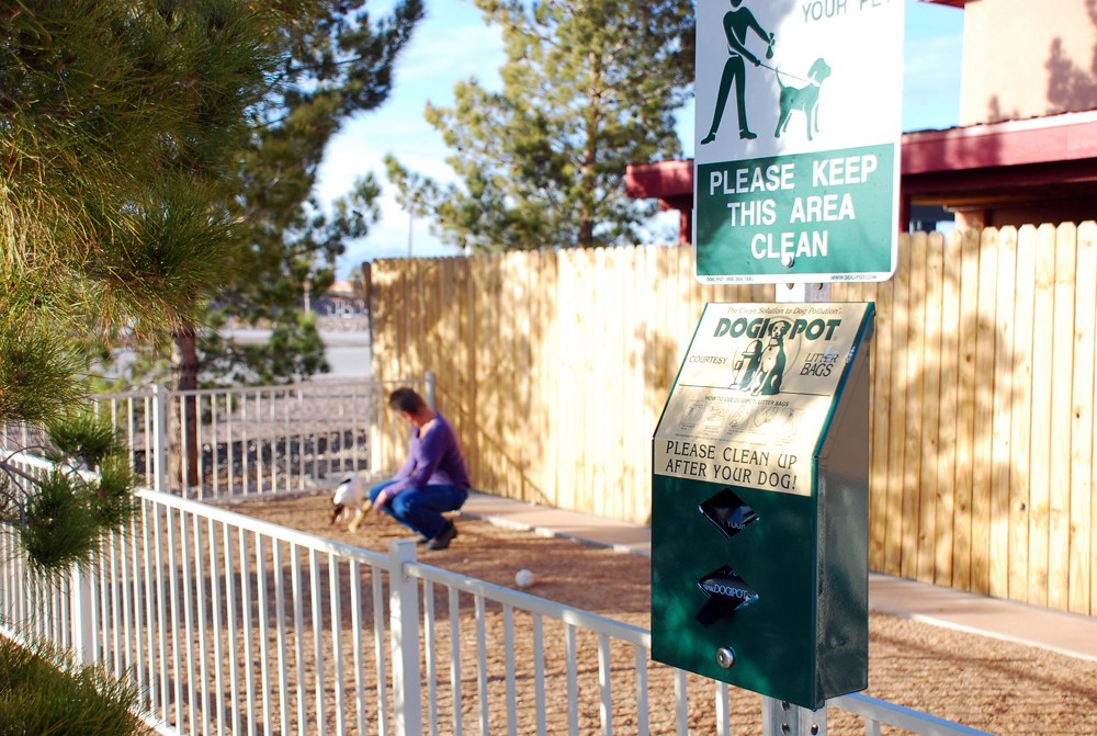 Elephant Butte Lake RV Resort