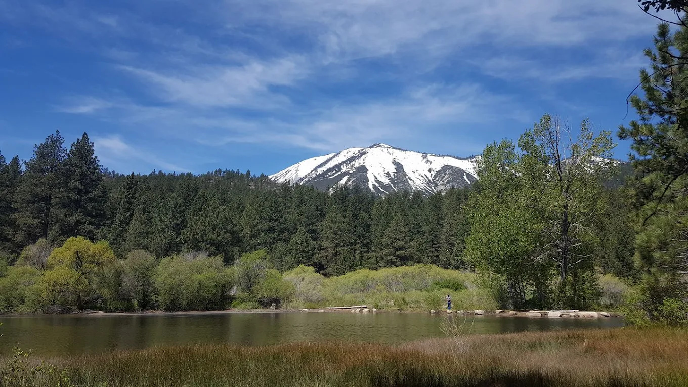 Davis Creek Regional Park