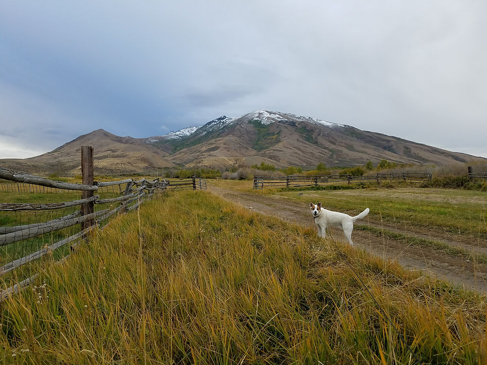 Welcome Station RV Park