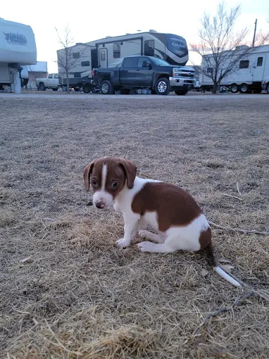 Southwind RV Park