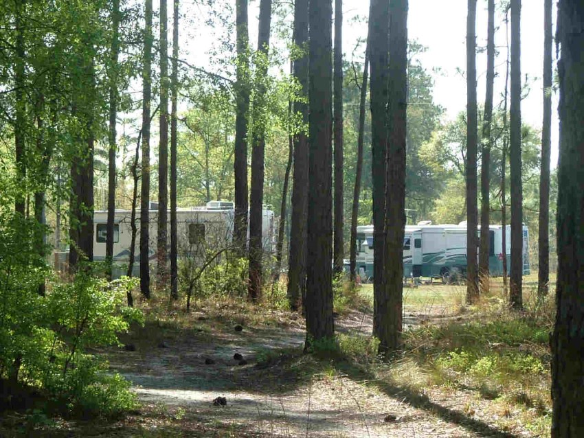 Tanager Woods RV Campground