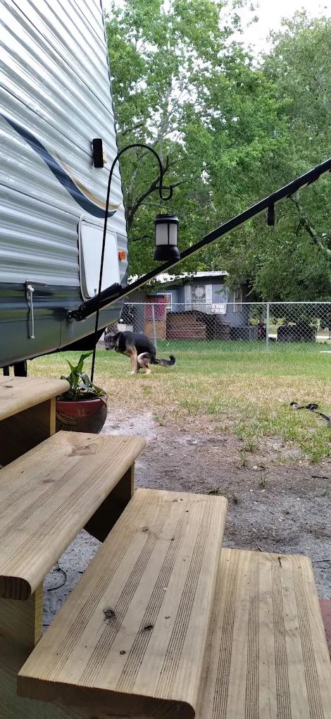 Cedar Pond Campground