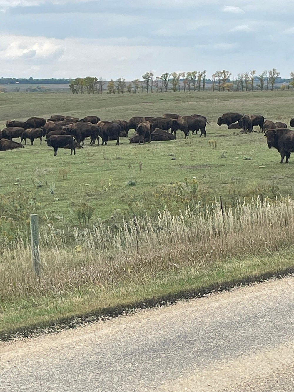 Royal River Casino and Hotel