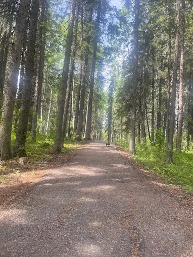 Lions Park Campground