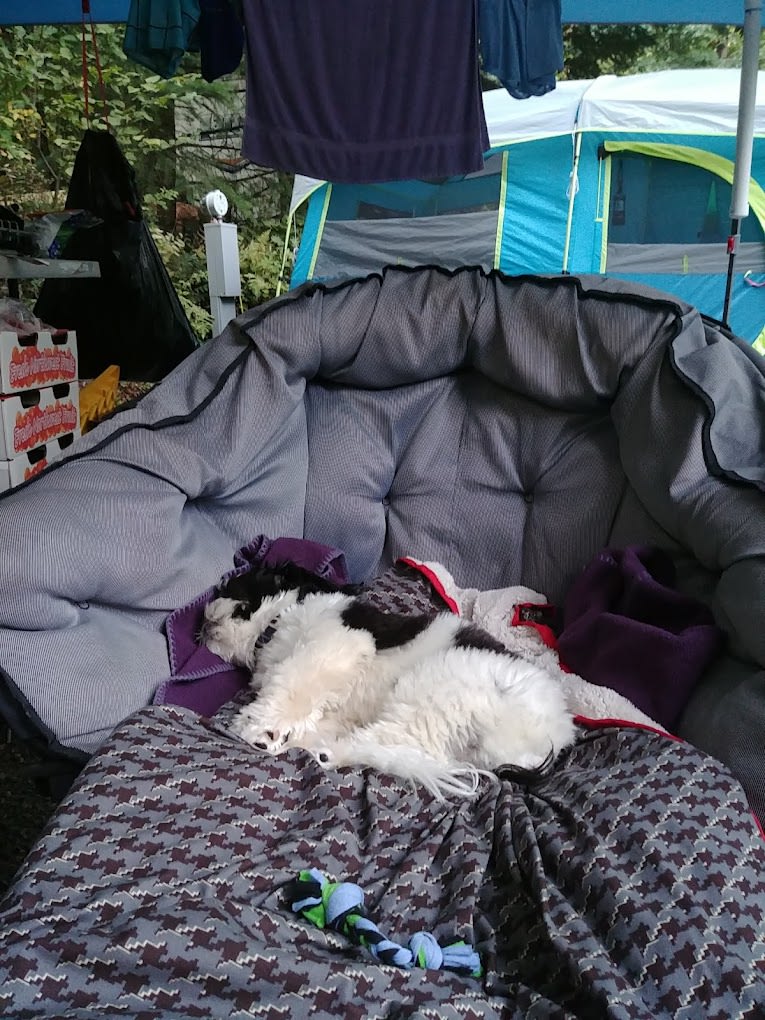 Timberlake Campground and RV Park