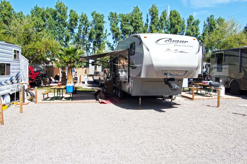 Colorado River Oasis RV Park