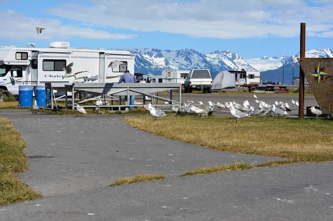 Fishing Hole Campground
