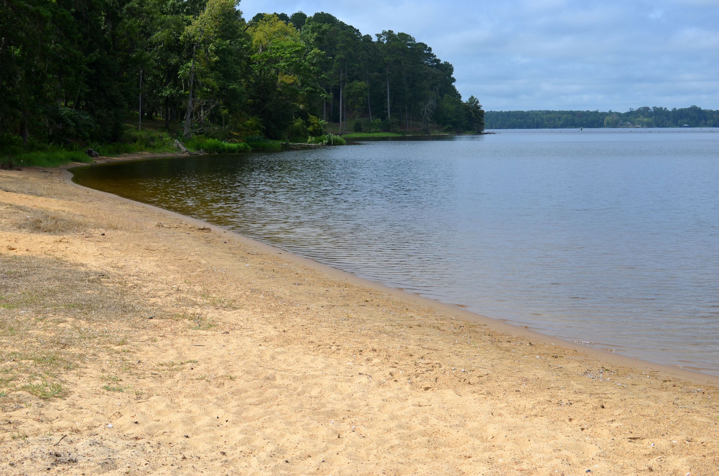 Cotile Lake Recreation Area