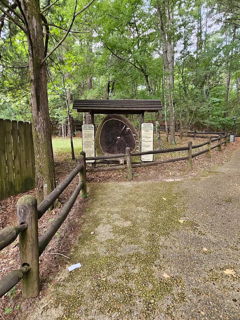 Mississippi Petrified Forest Campground