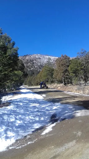 Elk Run Cabins and RV Park