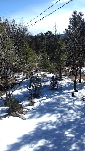 Elk Run Cabins and RV Park