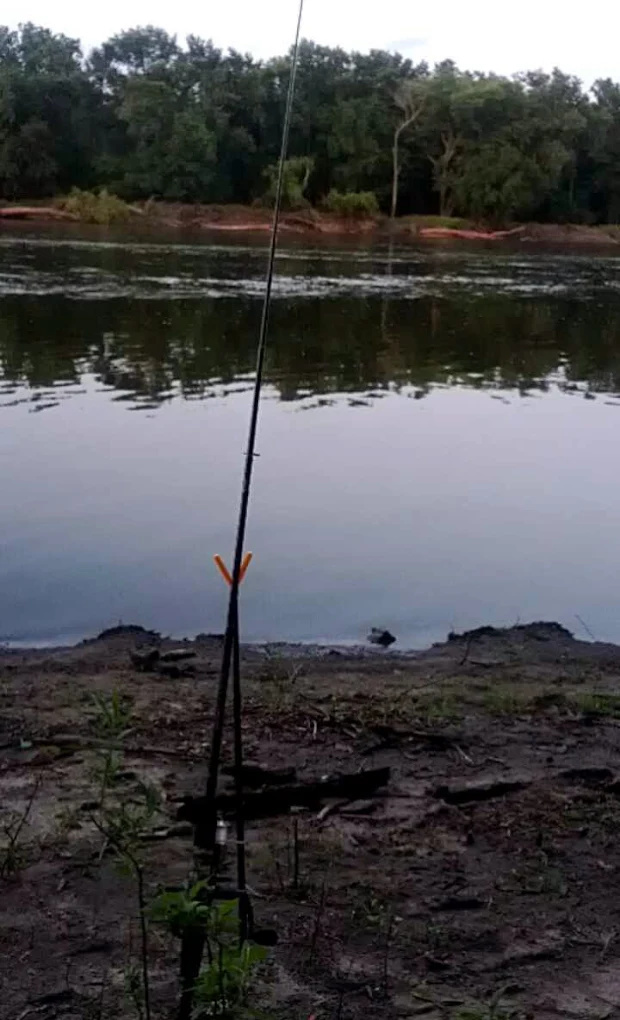 Cedar Bluff Access - Cedar County Park