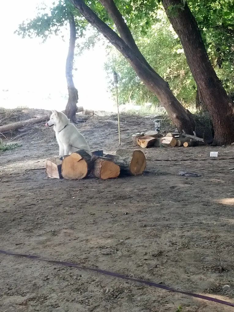 Cedar Bluff Access - Cedar County Park