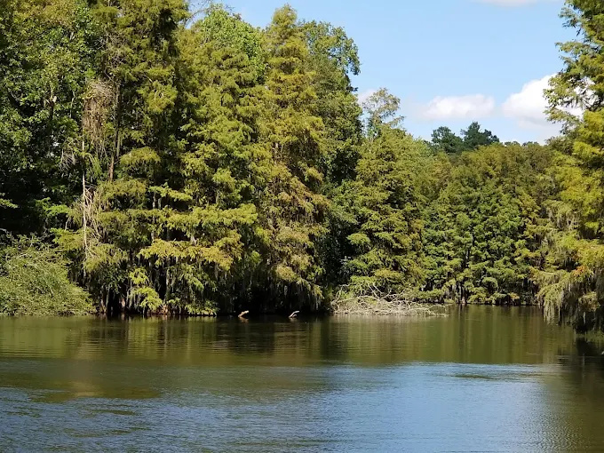 Lake Marion Resort & Marina