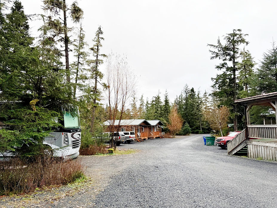 The Trees RV & General Store