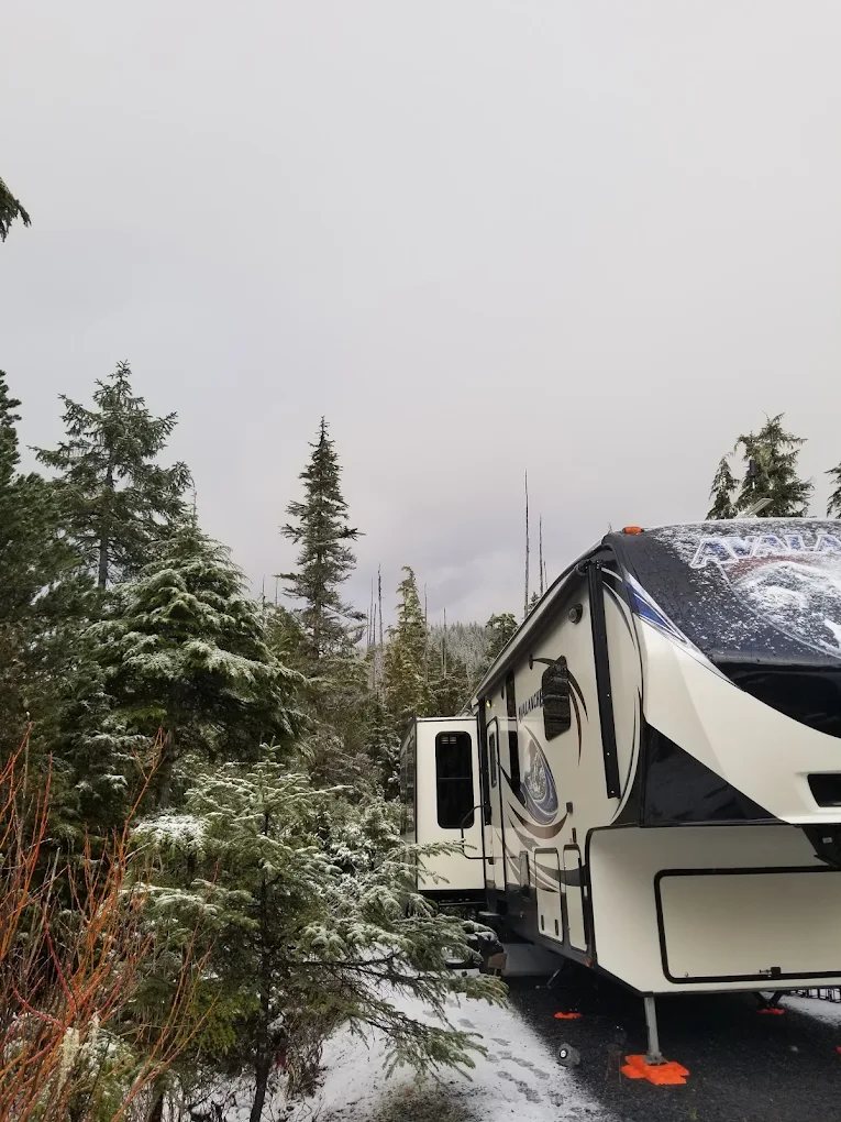 The Trees RV & General Store