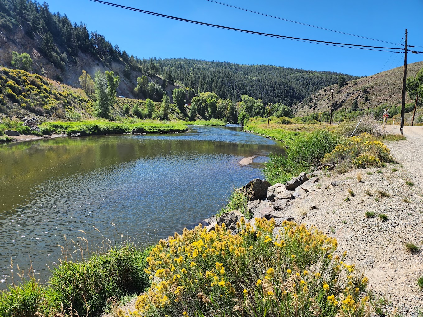 Pioneer Park
