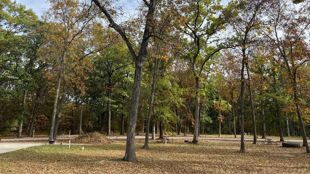 Chatfield Park