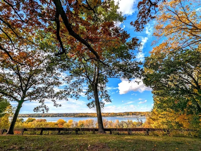 Illiniwek Forest Preserve