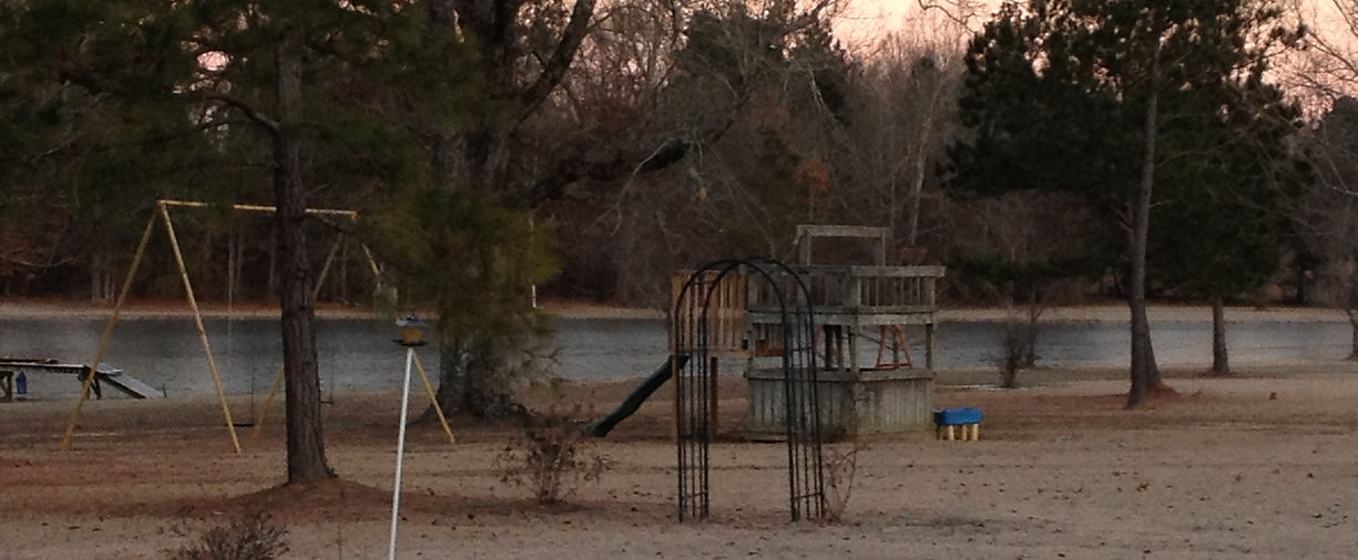 Country Dogs RV Park