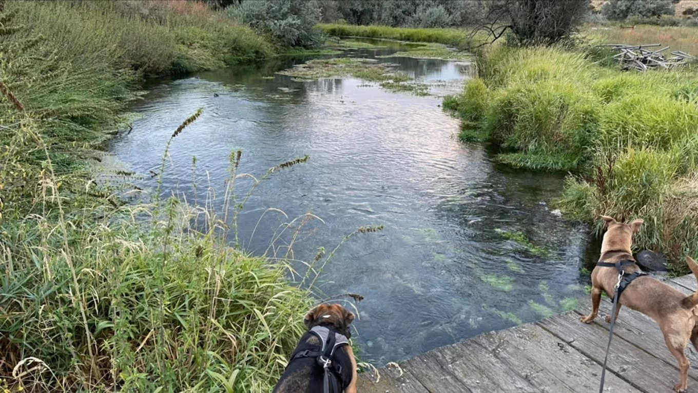 Batiste Springs RV Park