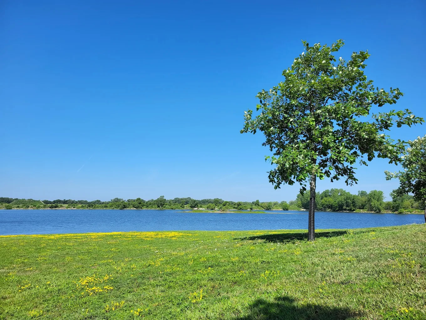Rapp Park & Recreation Area
