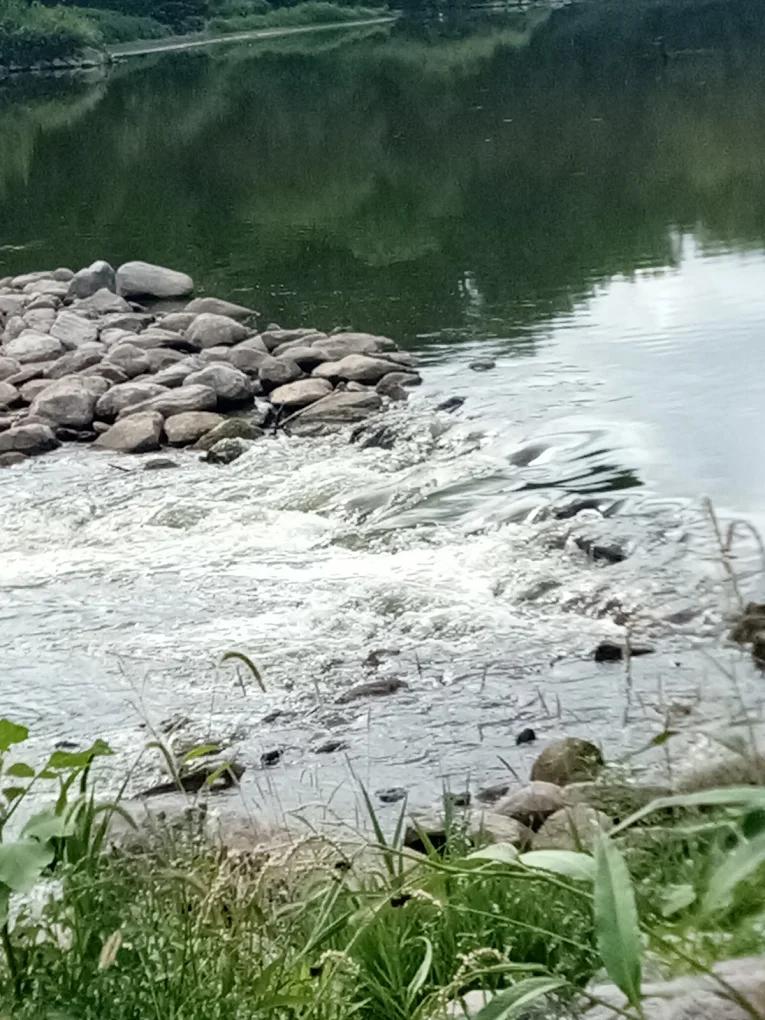 Squirrel Hollow County Park