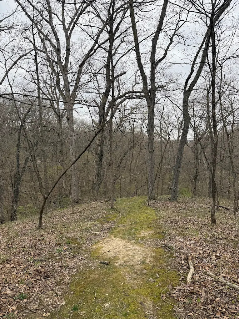 Quercus Wilderness Area