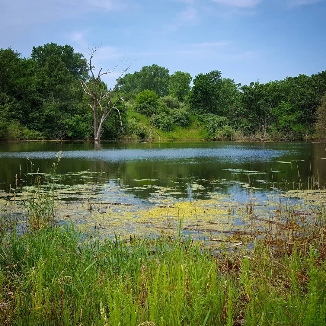 Montgomery County Fairgrounds