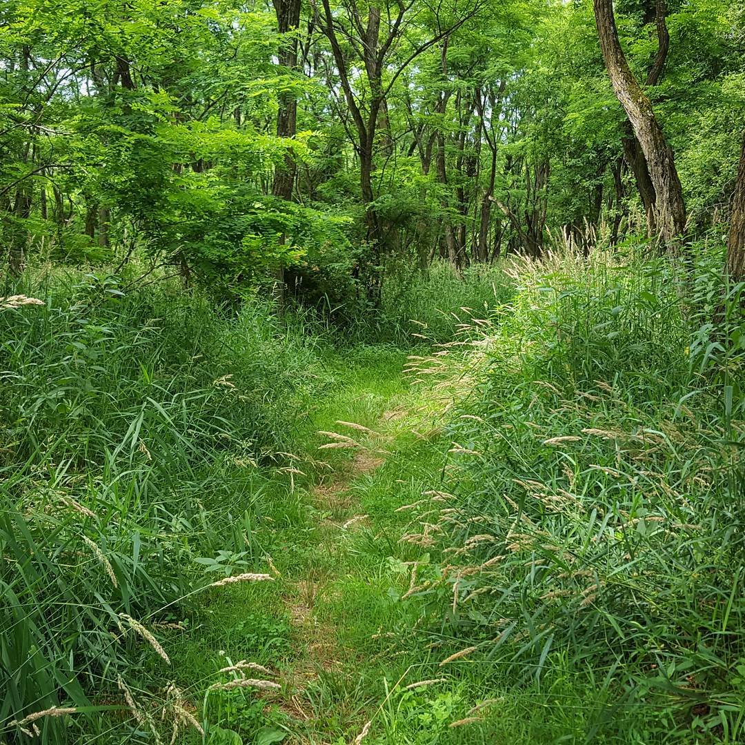 Montgomery County Fairgrounds