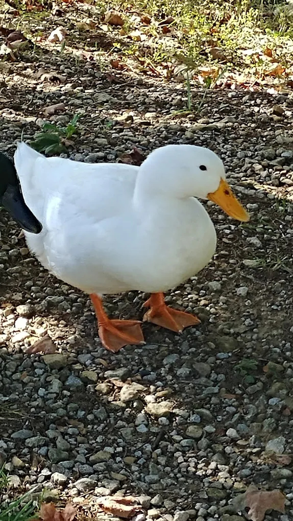 Bourbon County Fairgrounds