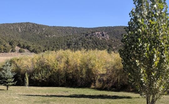 Portneuf Bend Campground