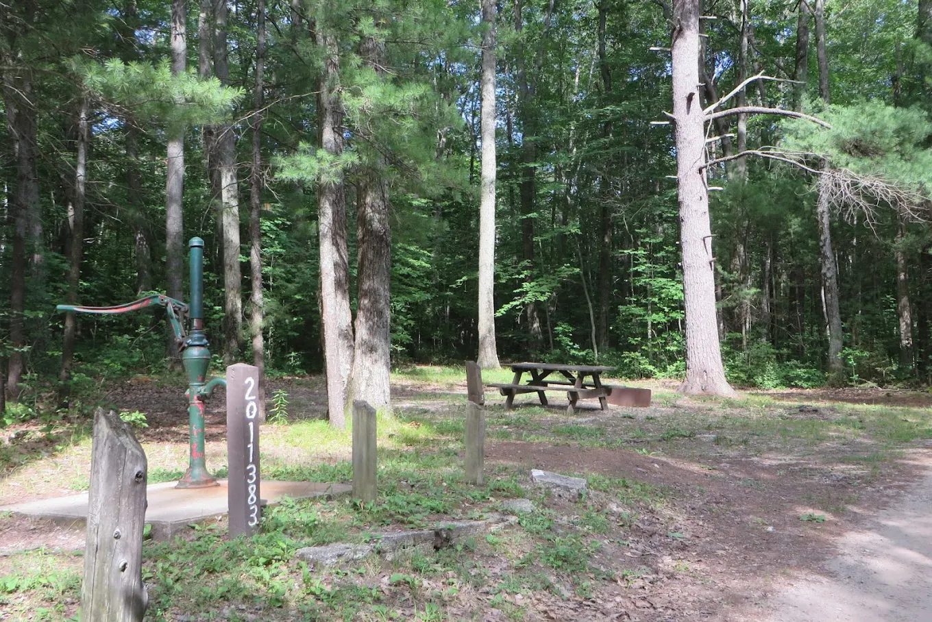 Long Lake (Wexford) State Forest Campground
