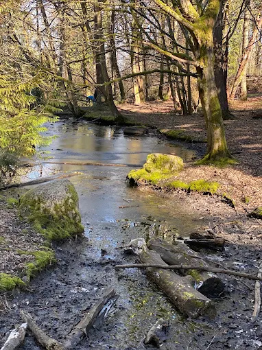 Camp Long