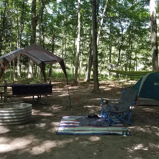 Platte River State Forest Campground