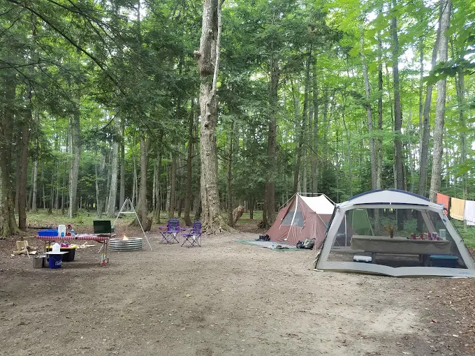Platte River State Forest Campground