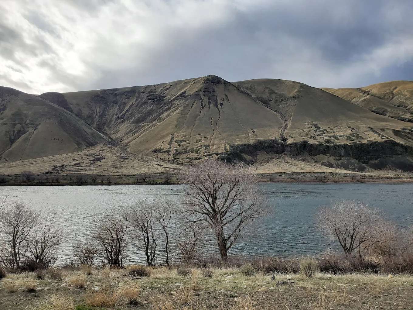 Jackson Creek Fish Camp