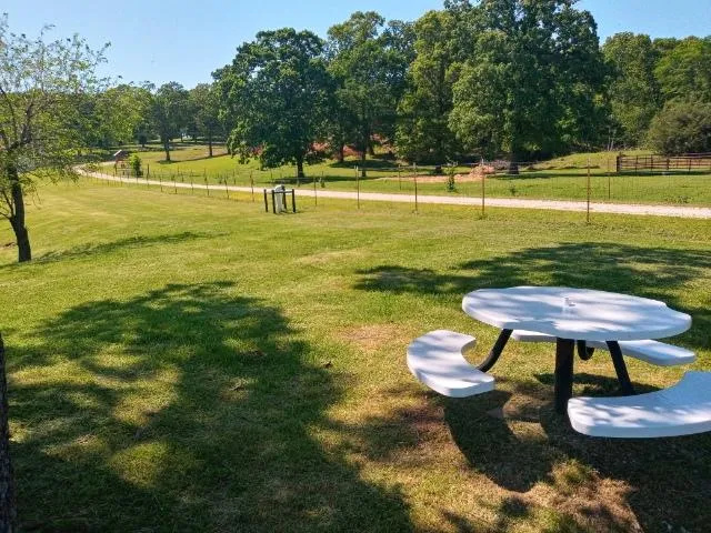 Zen Monkey RV Retreat