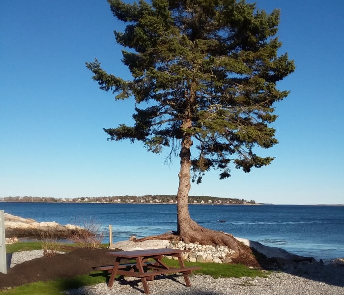 Gray Homestead Ocean Campground