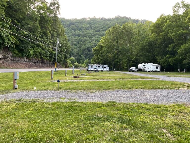 Camp Floppy Fish