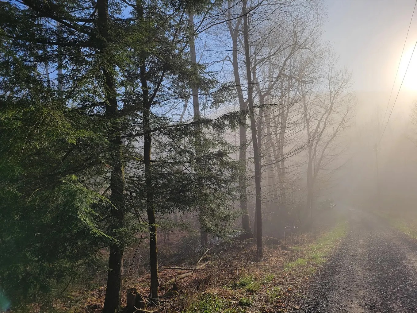 Cranberry Forest Farm Campground